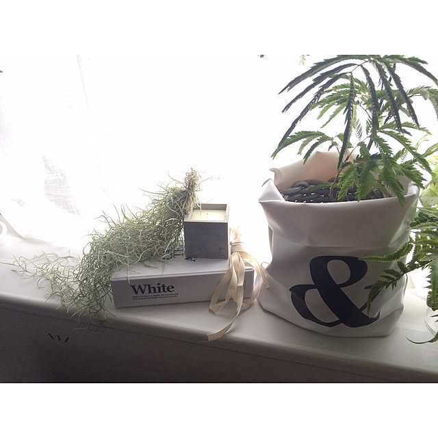 Mikiさんの実例写真
