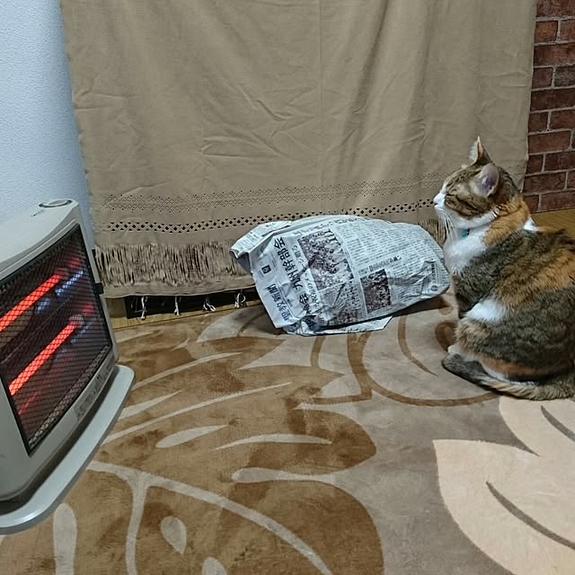 berariさんの実例写真