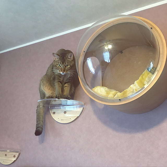 jill_lowさんの実例写真