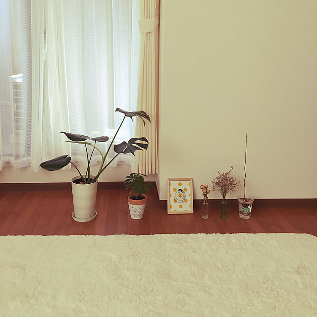 miuraさんの実例写真