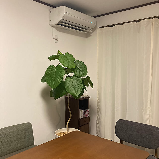 mamaさんの部屋