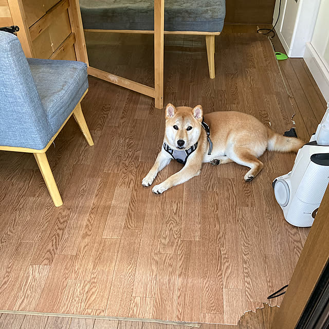 luckyさんの実例写真