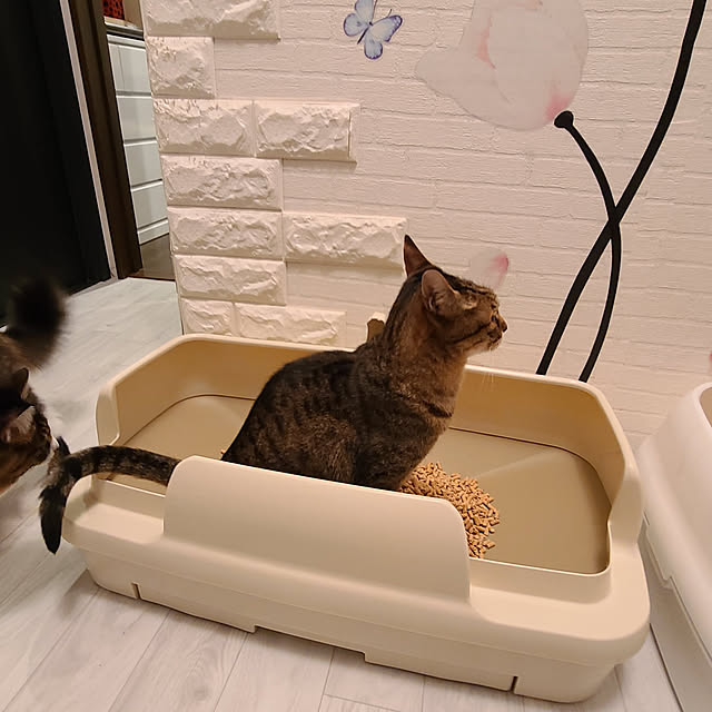 yumiさんの実例写真