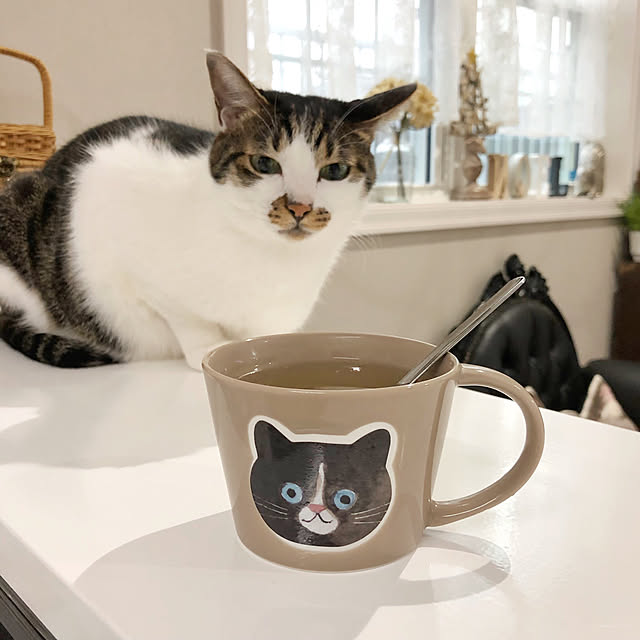 yuchiさんの実例写真