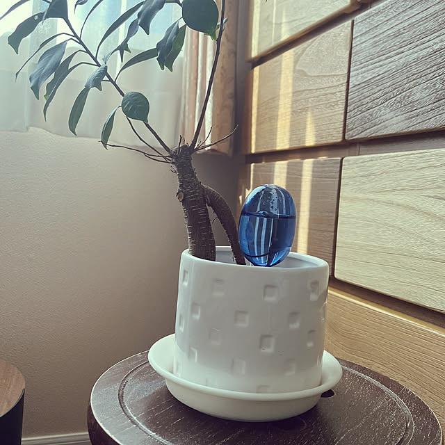 katuさんの部屋