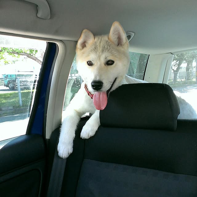 hina0131811さんの実例写真