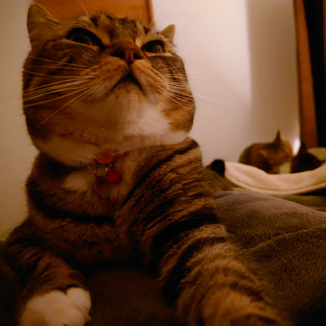 mochicoさんの実例写真