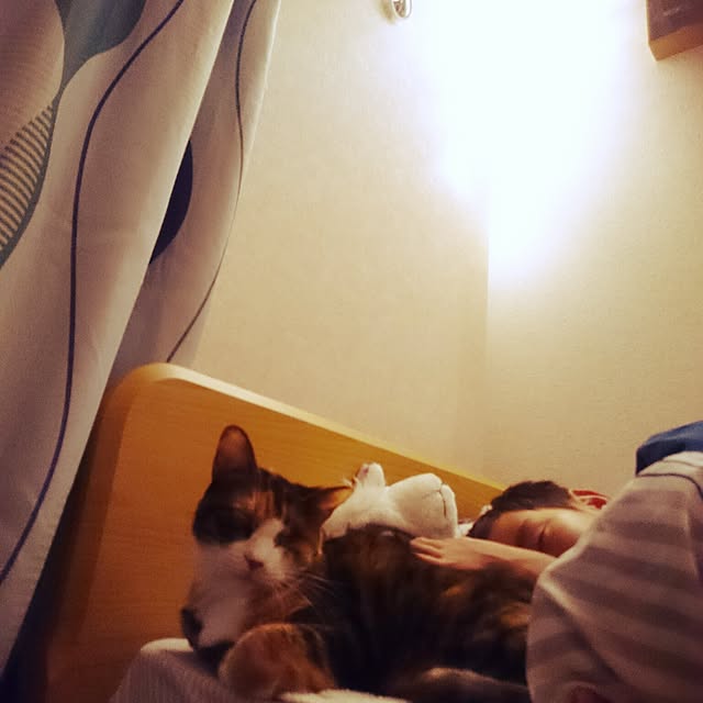 mofukoさんの実例写真