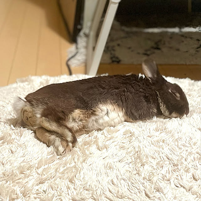 mo-nosukeさんの実例写真