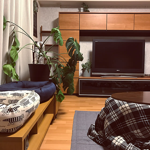 hiyupan88さんの実例写真