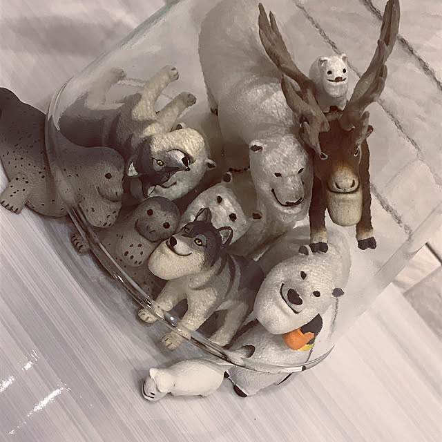 riakanaさんの実例写真