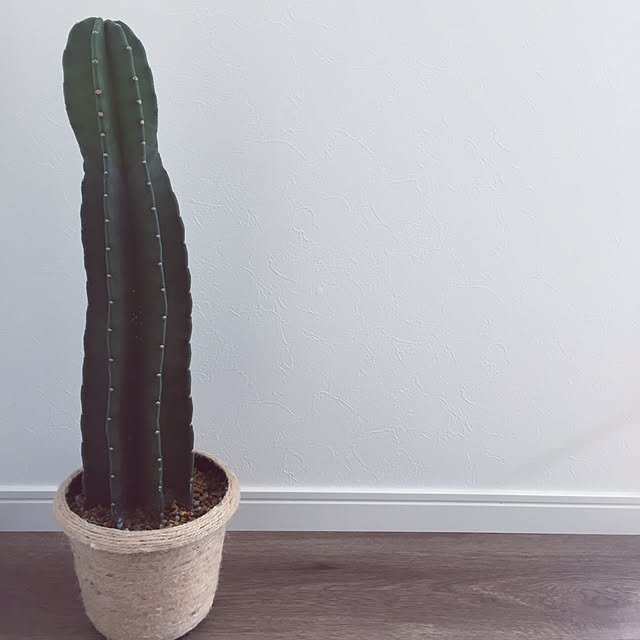 k_homeさんの実例写真