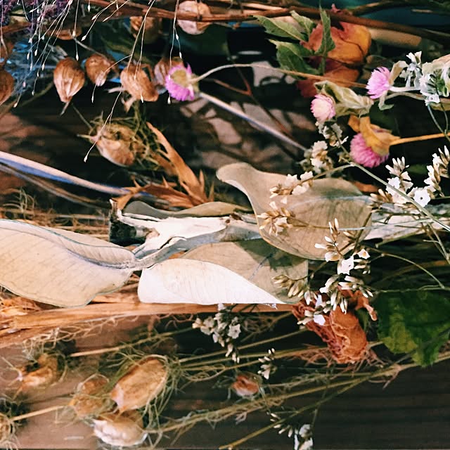 BIRDWELLさんの実例写真