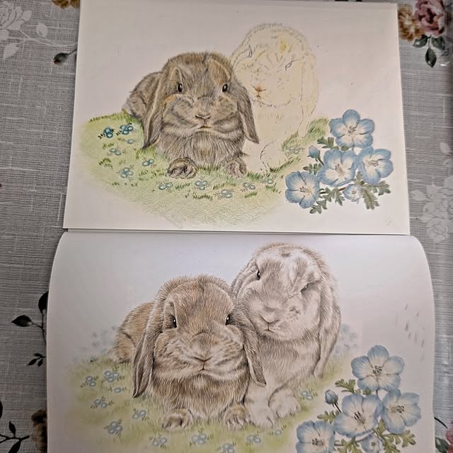 mariaさんの部屋