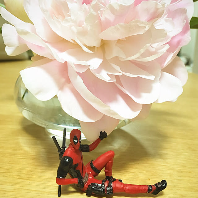 hiroko4152さんの実例写真
