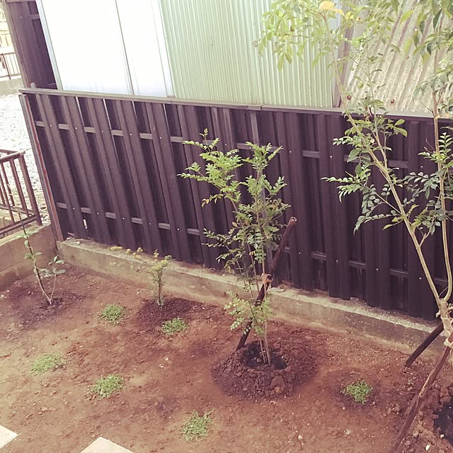takesickさんの実例写真