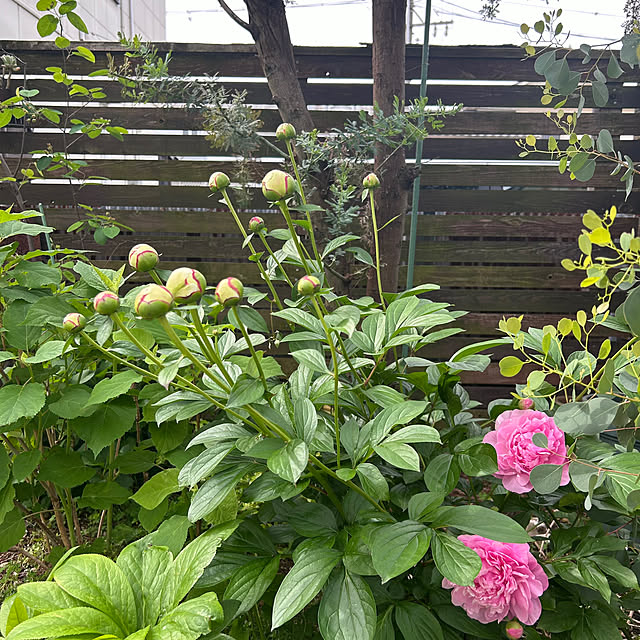 mami3さんの部屋