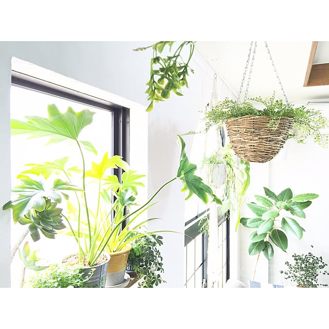 kiki_nekkoさんの実例写真