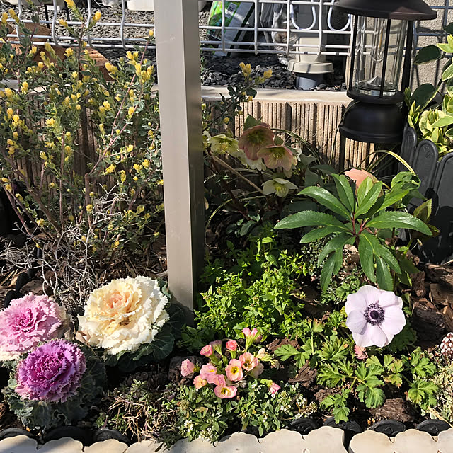 pinkflower_Potagerさんの部屋