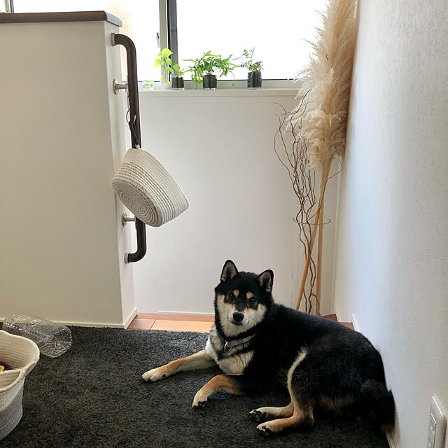 nuruiさんの実例写真