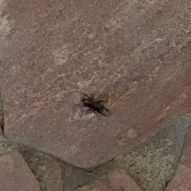 oceanさんの部屋