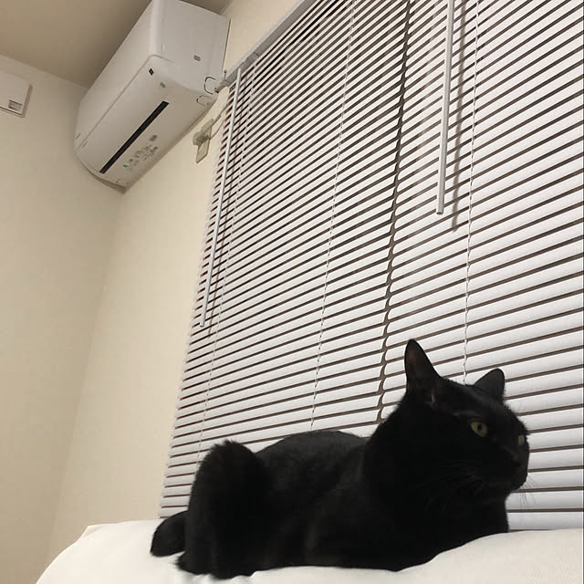 tangosanさんの実例写真