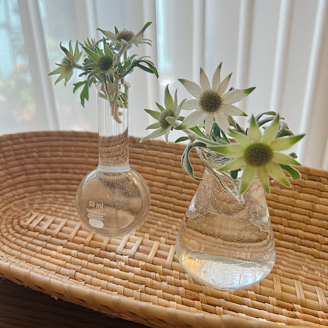ponme33さんの部屋