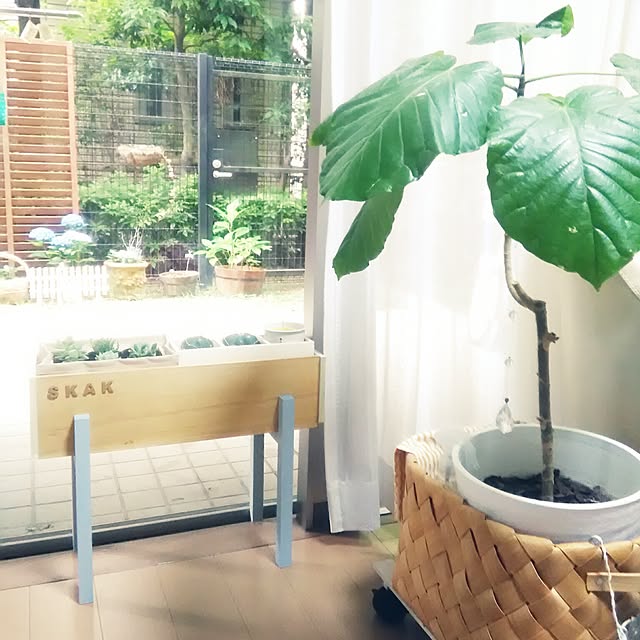 babypoohさんの実例写真