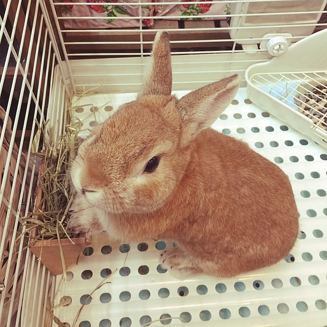 Yasuyukiさんの実例写真
