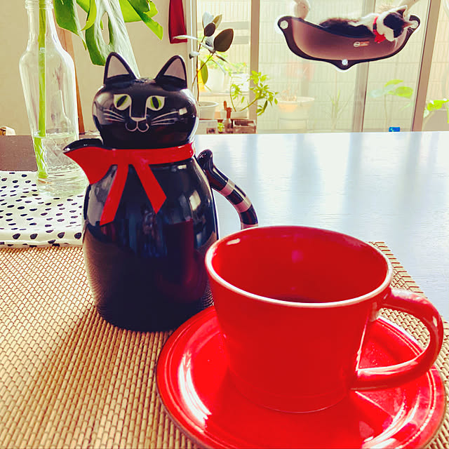 satosanさんの実例写真