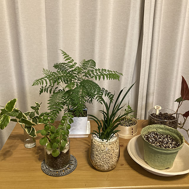 sarumoさんの実例写真