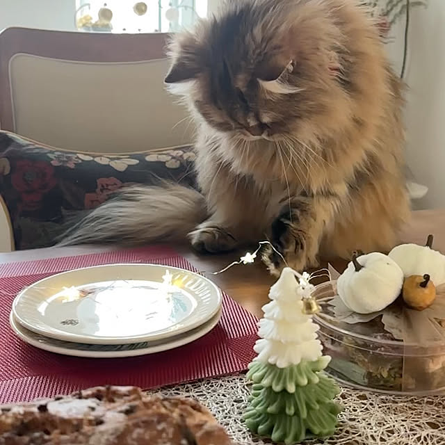 miyu39さんの部屋