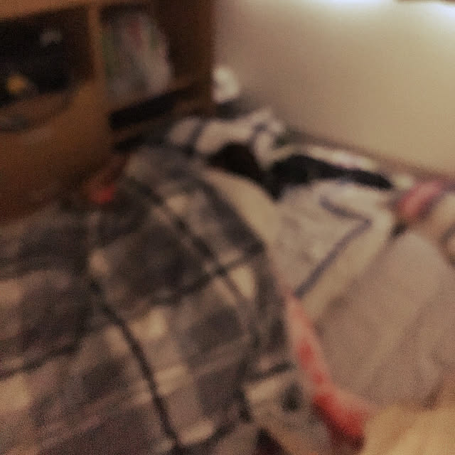 mamiさんの実例写真