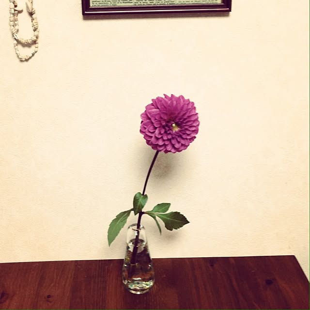 nakaさんの実例写真