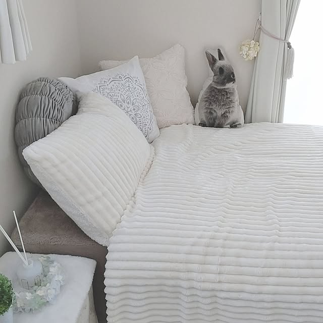 PAOさんの実例写真