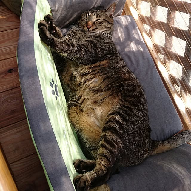 taleo07さんの実例写真