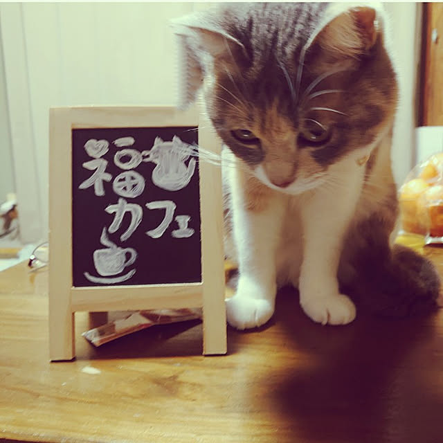 fukuさんの実例写真