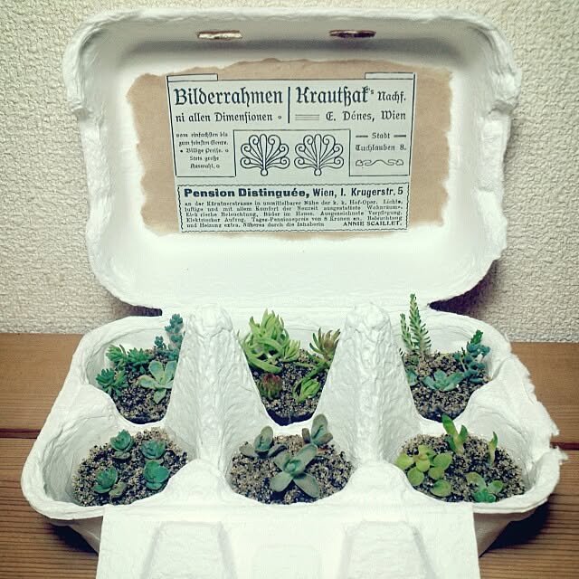 dezさんの実例写真