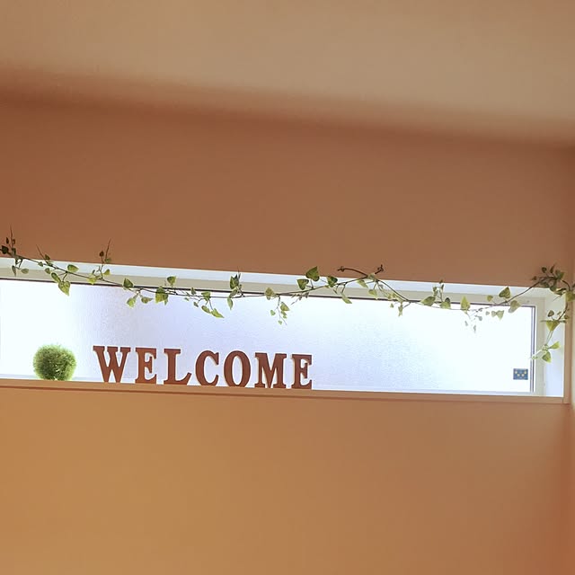 oooookanaoooooさんの実例写真