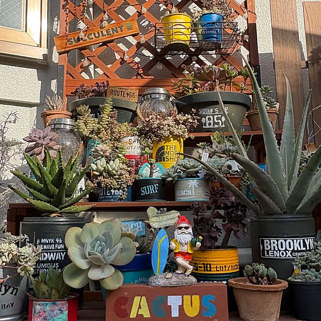 alohachikoさんの実例写真