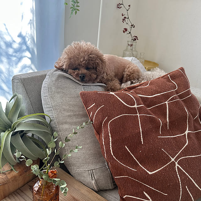 Tarutoさんの部屋