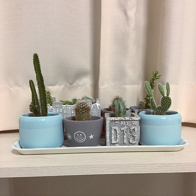 yukkin29さんの実例写真