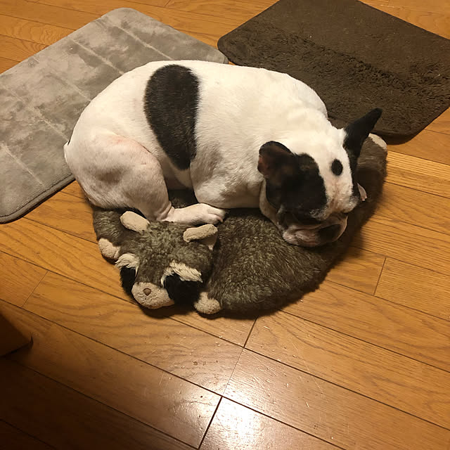 chi_gogaさんの実例写真