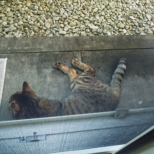 lilyさんの実例写真