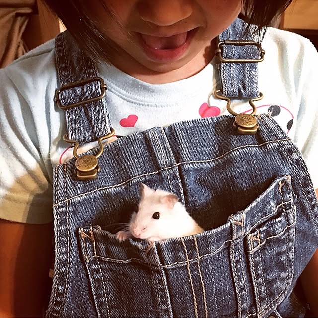 mamamao.no2さんの実例写真