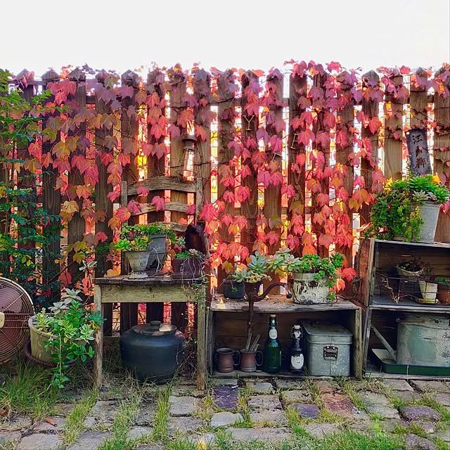 petitesplumesさんの実例写真