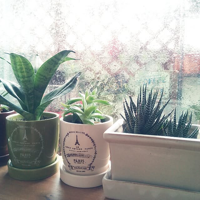 VERANDARJUNさんの実例写真