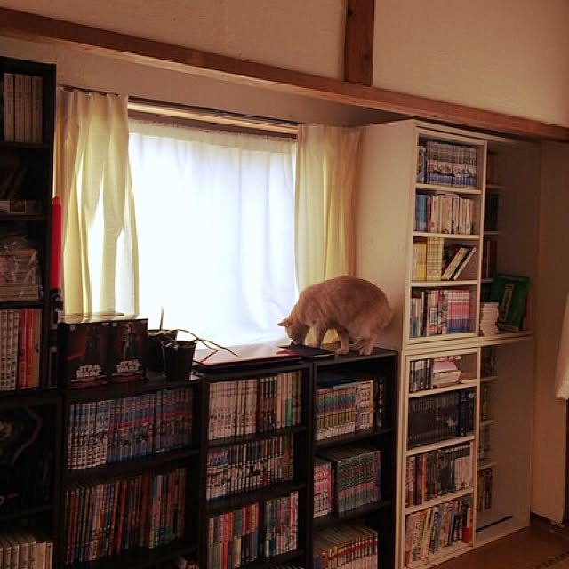 mikan161さんの実例写真