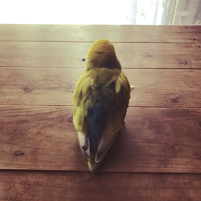 keinagen91さんの実例写真