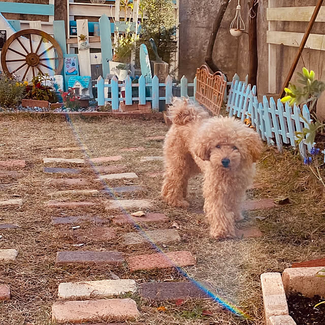 elmocoさんの実例写真